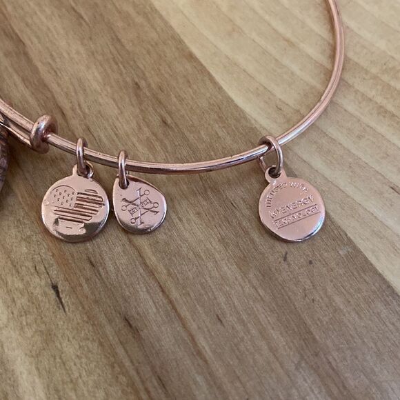 Alex and Ani Fortune's Favor Love & Luck Rafaelian Gold Charm Bangle Bracelet - Picture 3 of 4